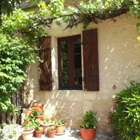 Cour Des Vignes